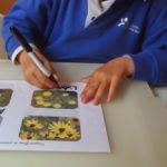 ayudar a aprender proyecto flores de primavera