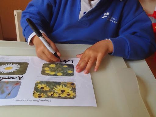 ayudar a aprender proyecto flores de primavera