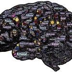 procesos cognitivos básicos