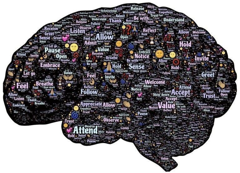 brain 744180 1280