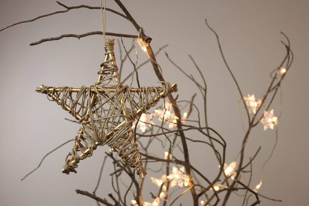 IMG_0008