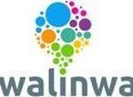 logo walinwa