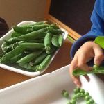 desgranar guisantes