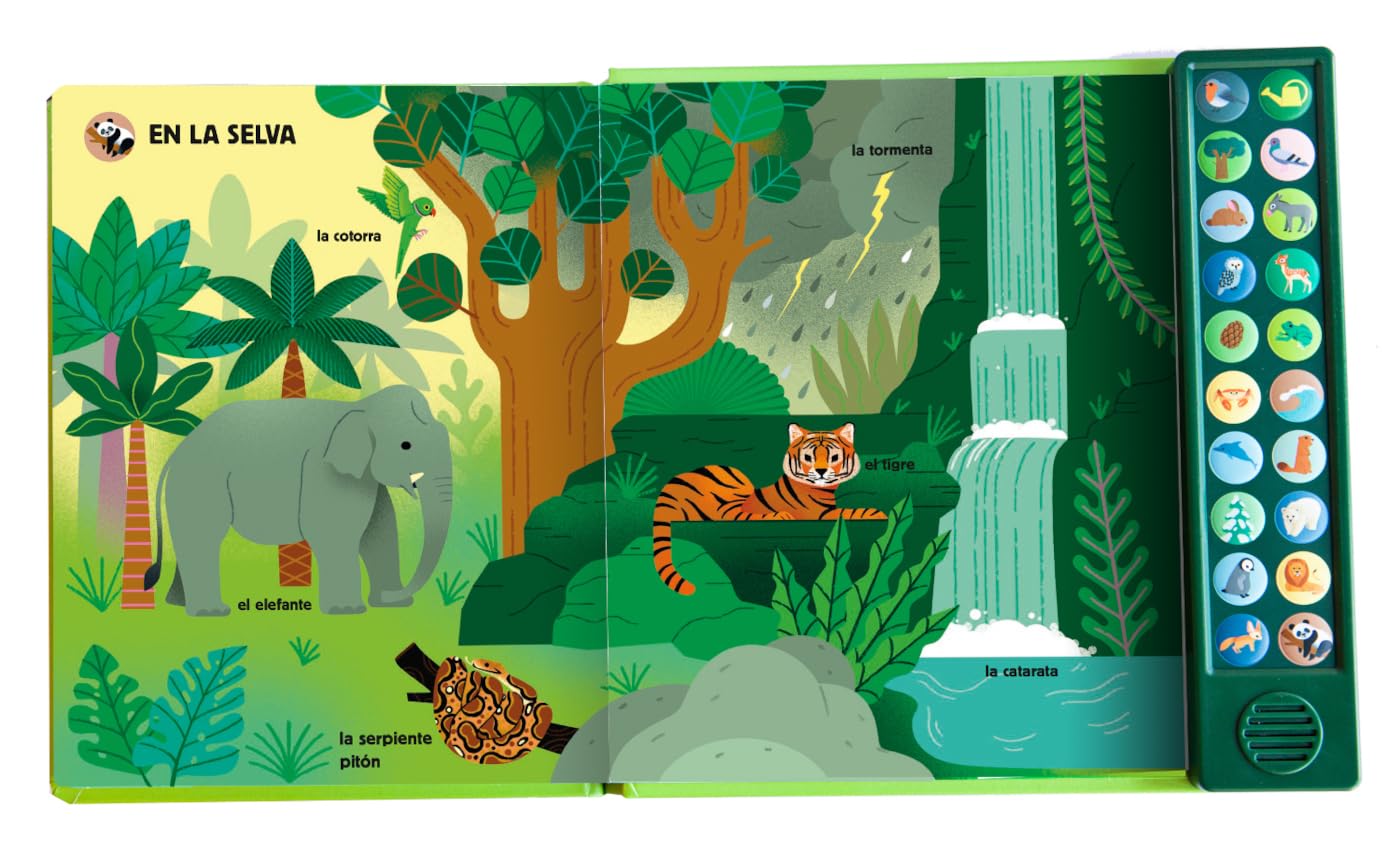 página interior del álbum ilustrado La naturaleza y yo. Mi imaginario sonoro