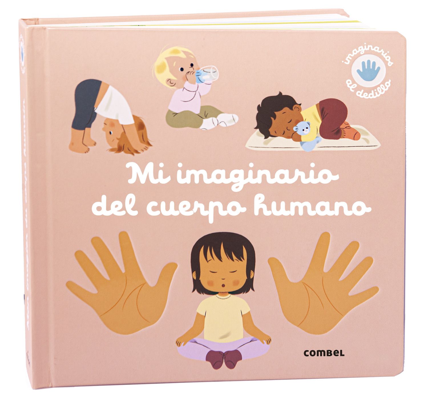 imaginario del cuerpo humano, libro infantil con solapas y texturas