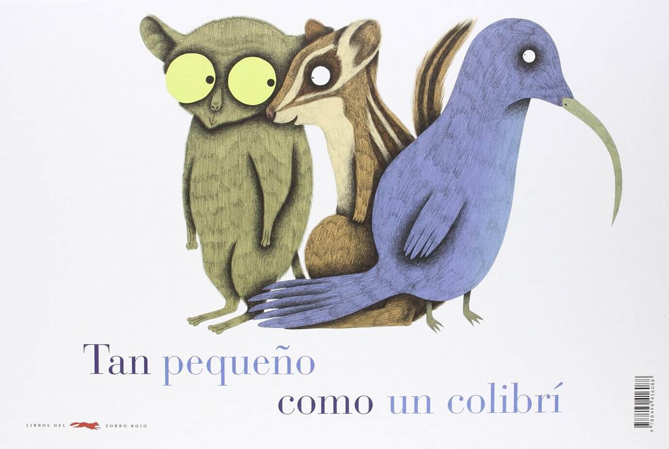Tan grande como siete osos, tan pequeño como un colibrí libro infantil Julie Colombet