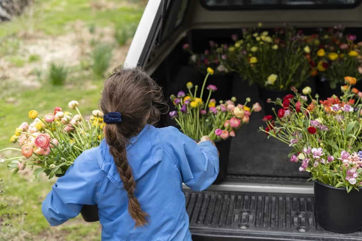 Niña con trenza y chaqueta azul eligiendo entre macetas de ranúnculos de colores
